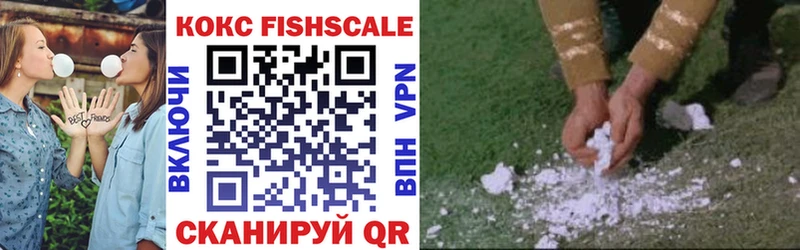 COCAIN FishScale  купить  цена  Буинск 
