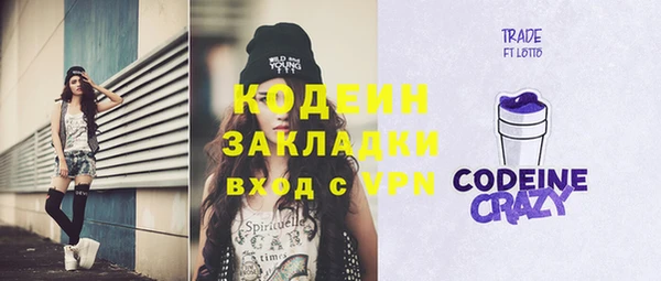 сатива Бородино