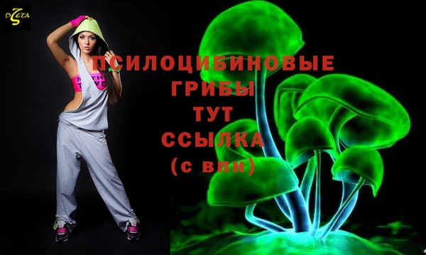 стаф Бронницы