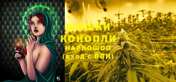 стаф Бронницы