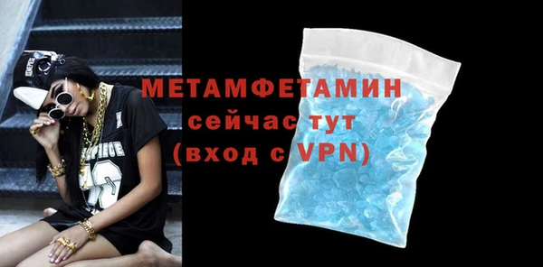 сатива Бородино