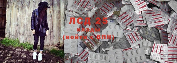 сатива Бородино