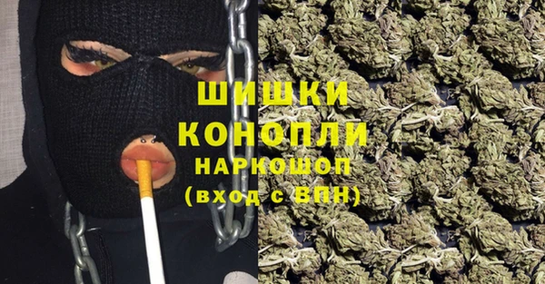стаф Бронницы