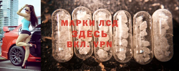 сатива Бородино