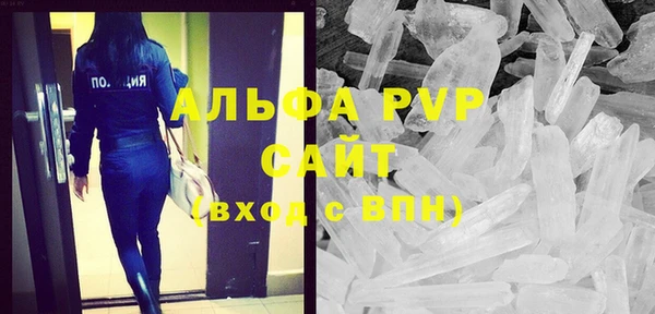 сатива Бородино