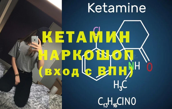 сатива Бородино