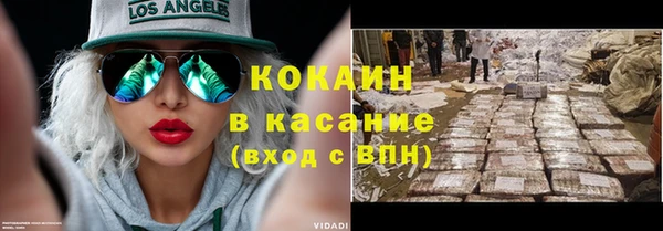 сатива Бородино