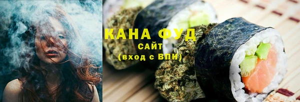 сатива Бородино