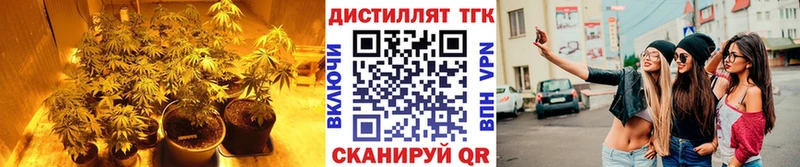 MEGA ONION  Буинск  ТГК THC oil 